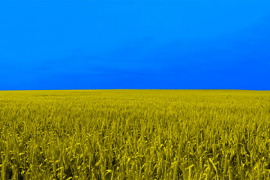 Crise agricole, l’Ukraine pointée du doigt