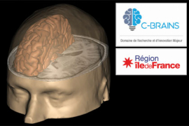 DIM C-BRAINS : lever les verrous technologiques pour résoudre la complexité du cerveau et faire de notre région un foyer majeur d’innovation en santé et au-delà DIM C-BRAINS : lever les verrous technologiques pour résoudre la complexité du cerveau et faire de notre région un foyer majeur d’innovation en santé et au-delà
