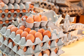Œufs : la France face au défi d’une consommation en hausse