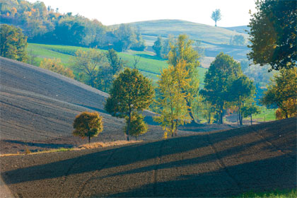 SO-paysage-vert