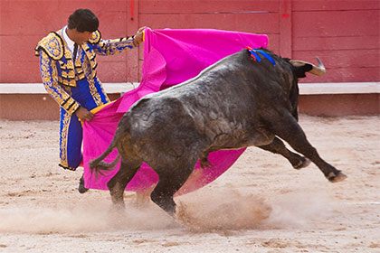 Retrait de la proposition de loi pour abolir la corrida