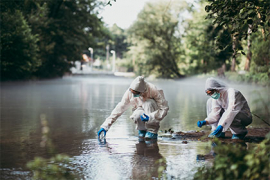 La lutte contre les pesticides contenus dans les déchets