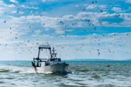 Pêche : un accord au bout de la ligne