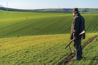 Un chasseur sachant chasser