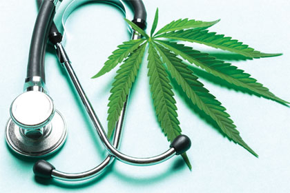 Une mission d’information sur la réglementation et l’impact des différents usages du cannabis