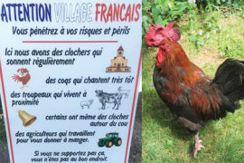 Le chant du Coq