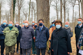 En quête de bois pour “la forêt” de Notre-Dame de Paris