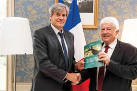 Les exportations des grumes et le déficit du commerce extérieur de la filière forêt-bois française au rapport