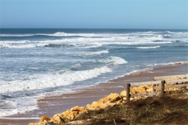 Faire face à l'érosion du littoral