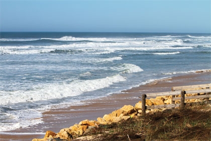 Faire face à l'érosion du littoral