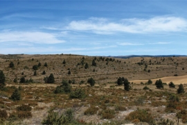 Le Larzac occupé