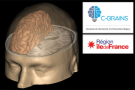 DIM C-BRAINS : lever les verrous technologiques pour résoudre la complexité du cerveau et faire de notre région un foyer majeur d’innovation en santé et au-delà