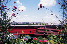 Restitution d’œuvres pillées : “une loi attendue dans le monde entier” votée