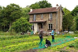 Grand Paris : un fort potentiel pour le développement de l’agriculture urbaine