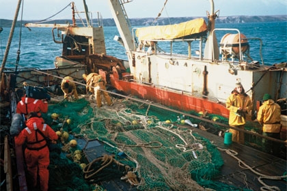 Débats autour de la pêche