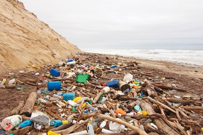 Déchets sur les côtes : n'en jetez plus !