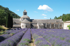 Au chevet des monuments en péril