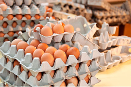 Œufs : la France face au défi d’une consommation en hausse